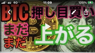 BTC調整からの再上昇か。ビットコインFXチャート分析