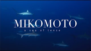 Mikomoto | A sea of tense (Mikomoto Hammers Documentary)