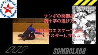 サンボ基礎技術講座　腕十字エスケープ　逃げ方　Ude-hishigi-juji-gatame