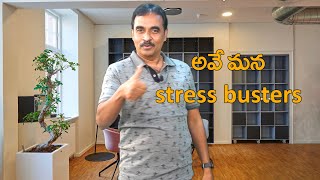 ఇప్పుడు క్రికెట్ ఆడి, ఏదైనా దెబ్బ తగిలించుకుంటే , \