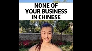 "NONE OF YOUR BUSINESS" IN CHINESE 🤨