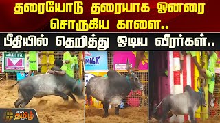 தரையோடு தரையாக ஓனரை சொருகிய காளை...பீதியில் தெறித்து ஓடிய வீரர்கள்! | Palamedu Jallikattu