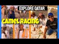 [4K] Qatar Camel Racing season 2021/2022