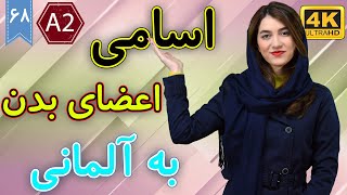 اسامی اعضای بدن به آلمانی | آموزش زبان آلمانی | A2 | ❽❻ درس 68