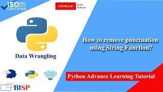 Python Data Wrangling USE Case | Removing Punctuation | Python Financial Data Analysis