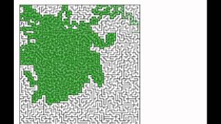 Algorithm (Java) Solves Recursive Backtracking Maze