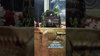 Sivabhishekam | Lord Shiva Abhishekam | Dr Jandyala Sastry