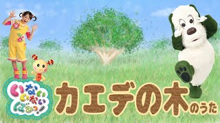 いないいないばあっ！「カエデの木のうた」