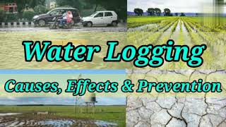 Water Logging | Causes | Effects | How to Prevent water logging| Irrigation Engineering| Shiwani Jha