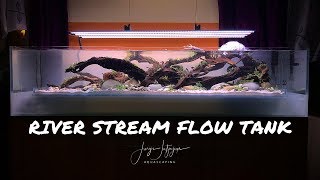 Aquascaping a DBL bottom Aquarium - Step by Step River Stream Flow Tank aquascape tutorial