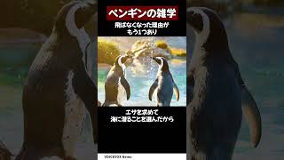 【雑学】ペンギンについての雑学　#shorts #ゆっくり解説 #豆知識 #雑学 #あるある #動物 #ペンギン