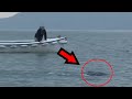 10 Unidentified Sea Monsters Caught On Film