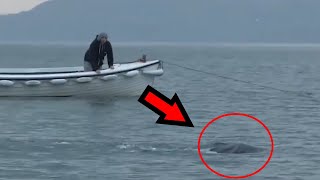 10 Unidentified Sea Monsters Caught On Film