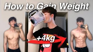 너무 말라서 고민?빠르게 살 찌우는 방법💪(실제로 4kg증가) Are you too Skinny? Gain weight journey \u0026 Fast Build lean Muscle