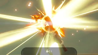 【ブレワイ(BotW)】コーガ様を秒殺したら変なことになった【ドリカラ】