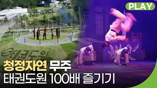 청정 자연 전북 무주! 태권도원 100배 즐기는 방법! | 생생3도 | 재미 PLAY