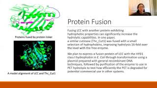 Hydrolysis of PET by fusing modified hydrophobins to cutinase