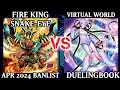 Fire King Snake-Eye vs Virtual World | High Rated | Dueling Book