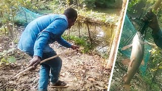 Primitive Technology : Catch Big Fish Skill  | Natural Fishing BD