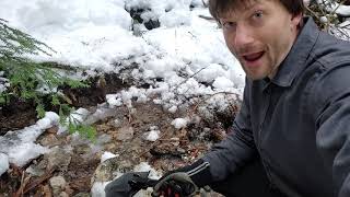 Winter Gold Prospecting a small steep creek.