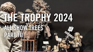 Bonsai Trophy 2024, all show trees part 3