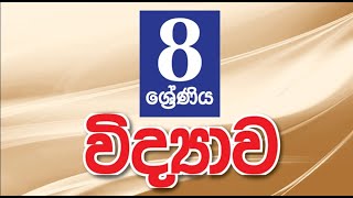 8 ශ්‍රේණිය. 12 ජීවීන්ගේ ජීවන චක්‍ර. 3 වන කොටස. 23.11.2024