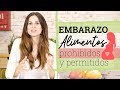 ALIMENTACIÓN y EMBARAZO | Alimentos prohibidos y permitidos