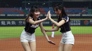 2023.4.14 曼容  君白 Passion Sisters 中信兄弟PS女孩 台湾プロ野球チアリーダーチーム 대만 프로야구 치어리딩팀