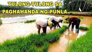 pinagtulungan namin ang  paghahanda ng punla