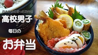 【高校生男子弁当】お魚のお弁当～自家製作り置き冷凍フライ～【毎日弁当】