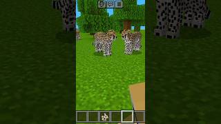 😱OMG😱 Cheetah in minecraft