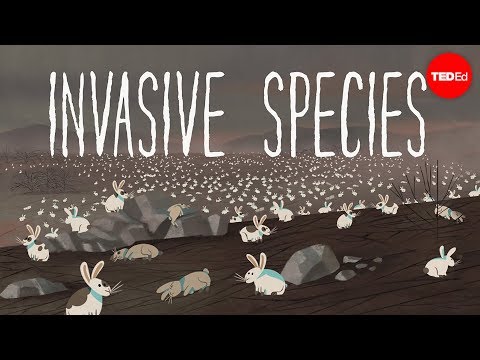 What are the impacts of invasive species on human society?