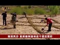 中国在沙漠种的几亿棵树，现如今居然长成了这样，震撼一幕美欧28国全傻眼了！