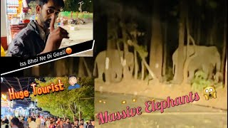 2Massive Elephants In kaladhungi Jungle At Night🙀Or Nainital Mein Huge Tourist 🤦🏻‍♂️#viral #youtube