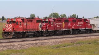 Southbound CP Switcher - Blackfalds, Alberta - September 2013