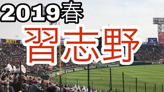 【センバツ2019】習志野高校 3回表 応援