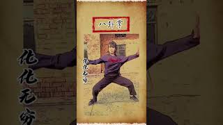 八卦掌 武术基本功 武术 武林绝学Baguazhang Wushu Basic Skills Wushu Wulin Exclusive learning