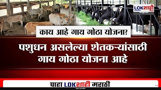 Special Report | Nashik | गायगोठ्याचं अनुदान कुठे अडकलं? काय आहे गाय गोठा योजना?