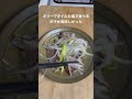 臭いと言われる魚を食ってみた ボラ 釣り shorts