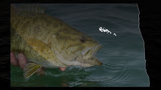 Devils Lake Complex and Red River Fishing Previews - 04-01-2021