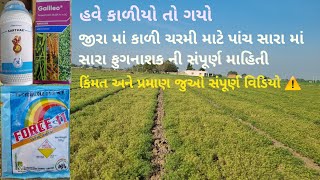 જીરા માં કાળી ચરમી | કાળીયા નું નિયંત્રણ | જીરા માં કળી ચરમી માટે ૫ સારા માં સારા ફુગનાશક #gujarat