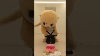 Chiitan challenge!! #shorts