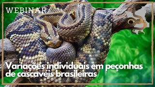 Variações individuais em peçonhas de cascavéis brasileiras