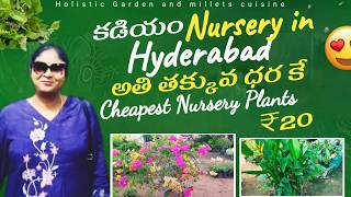 Kadiyam Nursery in Hyderabad Plants with prices. హైదరాబాద్ లో కడియం నర్సరీ ₹20 రూపాయలకే మొక్కలు