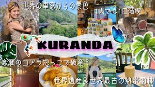 【世界遺産】念願！世界最古の熱帯雨林が広がるキュランダでコアラ抱っこしてきた【ケアンズ/オーストラリア】