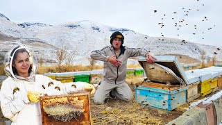 داخل  جبال النحل العملاقة في مدينة كندوان - يعيشون مع آلاف النحل !! 🐝