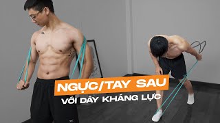 Tập NGỰC & TAY SAU với dây kháng lực | Resistance Band Chest & Tricep Workout | SHINPHAMM