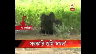 Pig farm on govt land in Durgapur