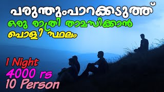 Budget Stay Near Parunthumpara | Idukki | ആഹാ നല്ല പൊളി വൈബ് 🤩  | vibe hunter