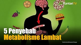 5 Hal yang Bisa Memperlambat Metabolisme Tubuh